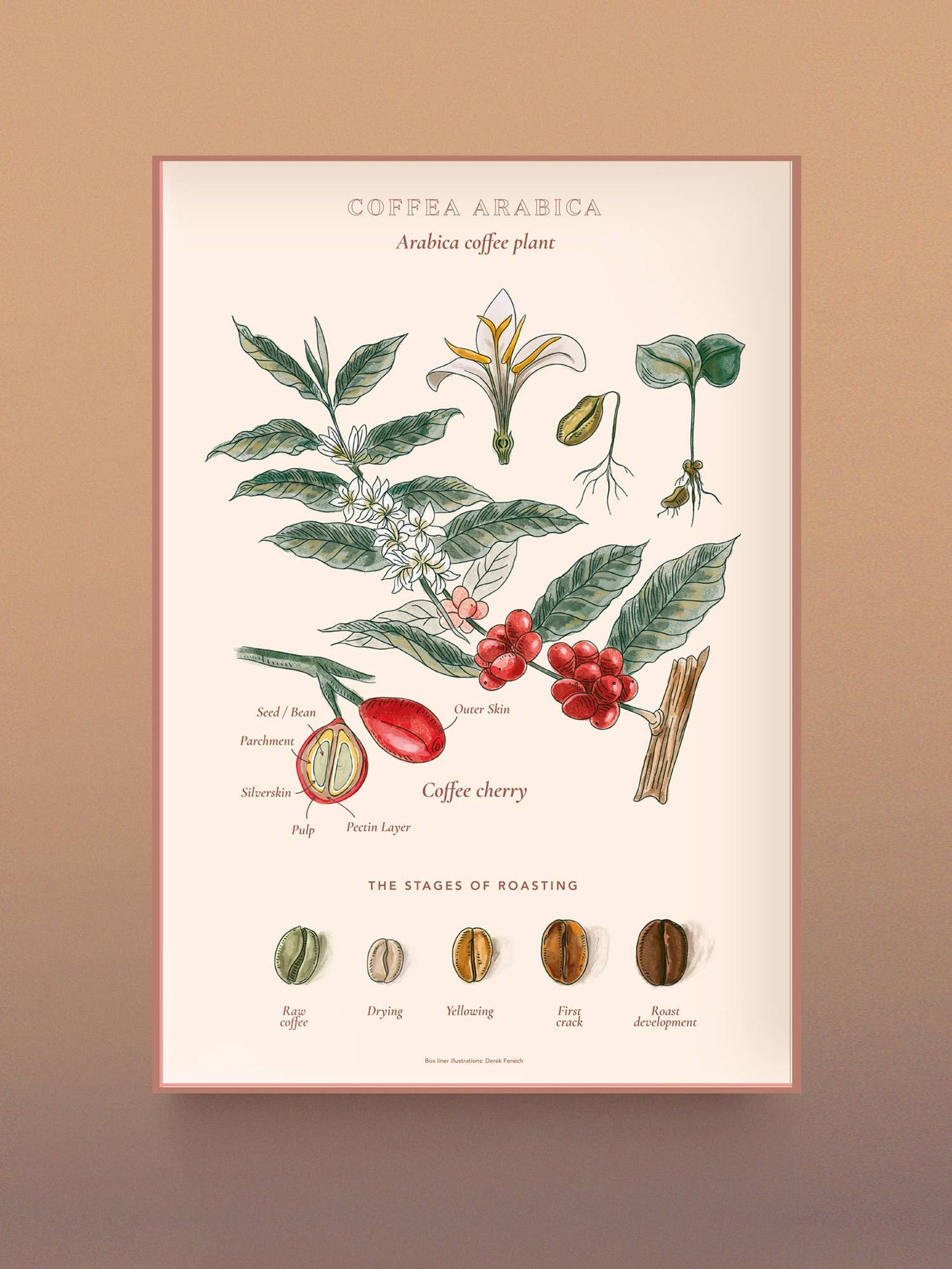 Coffee Puzzle - World of Coffee