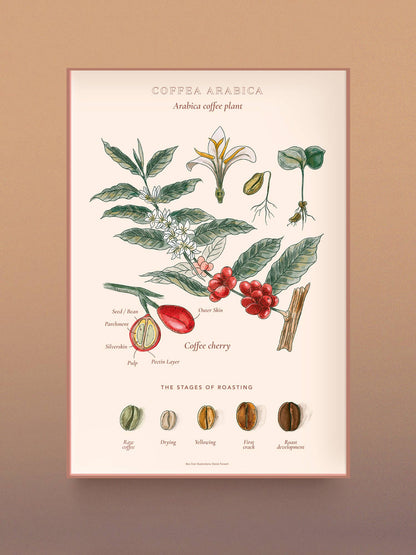 Coffee Puzzle - World of Coffee